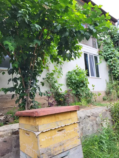 Ալեքսուն Հոում Ֆեմիլի հանգստավայր