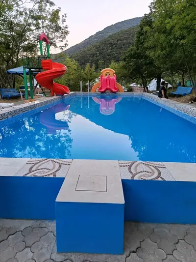 Ալպիական մանուշակ