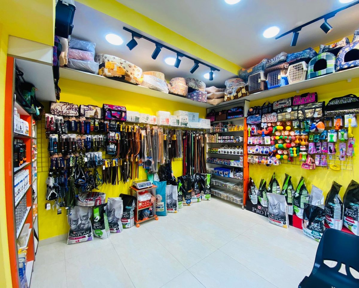 AmiryanVet — Services, Yerevan