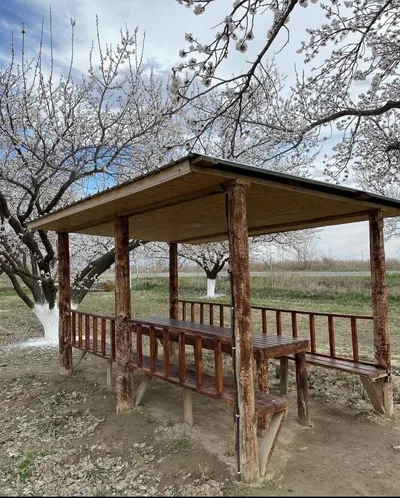 Apricota Rest Area / «Ապրիկոտա» հանգստյան գոտի