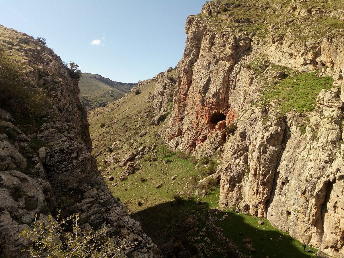 Արածո