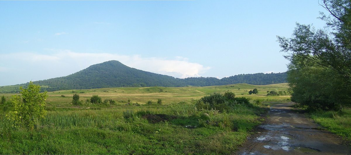 Արջասար