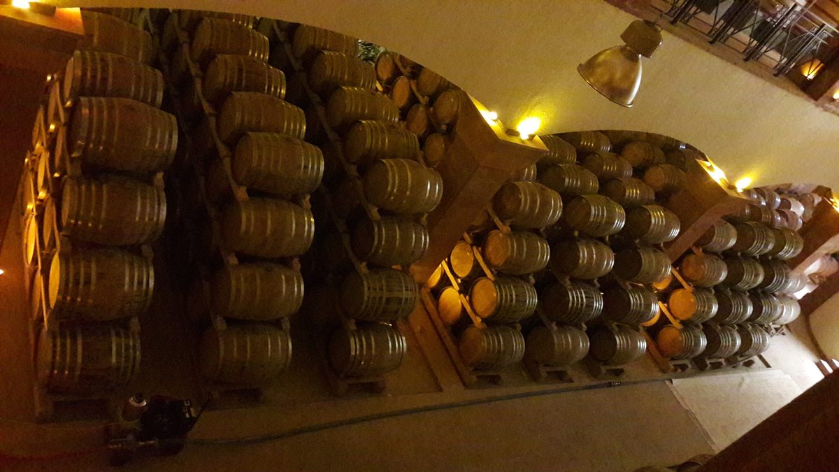 Armenia Wine