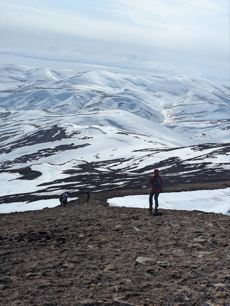 Արմլենդ արկածների ակումբ