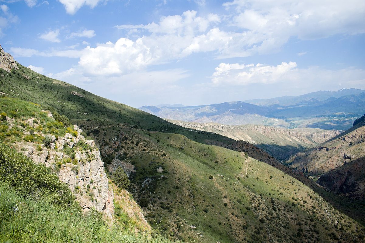 Արփի բնապատմական արգելոց