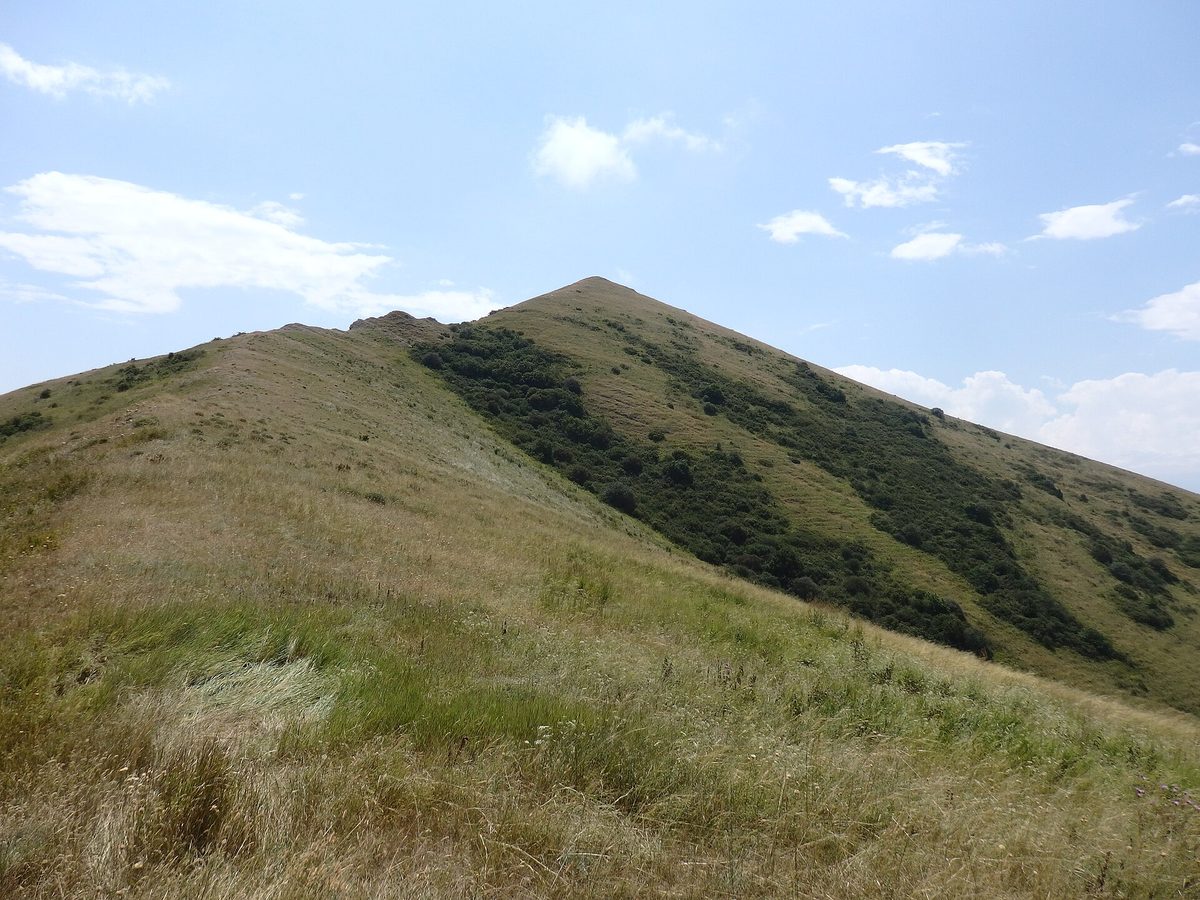 Արտանիշ