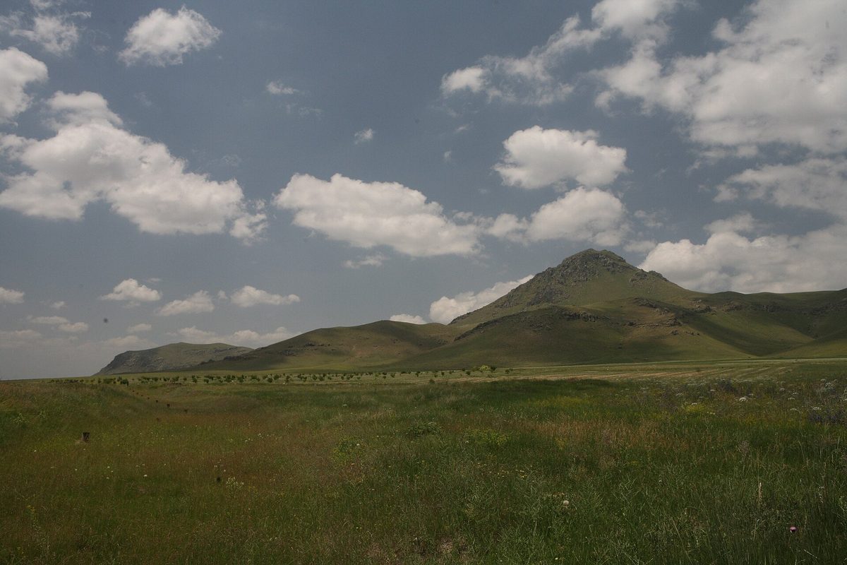 Արտենի