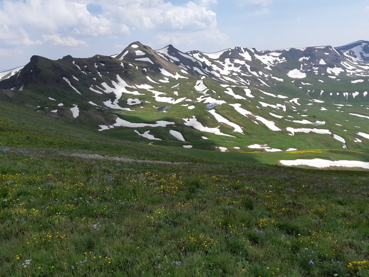 Աստղոնք