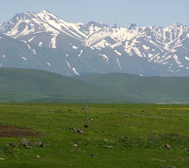 Բարգուշատի լեռներ