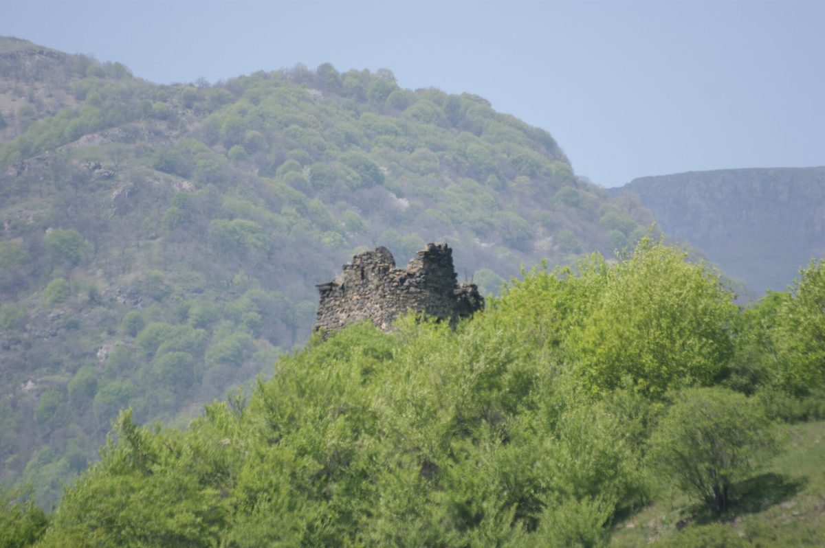 Ամրոց Սեդվի