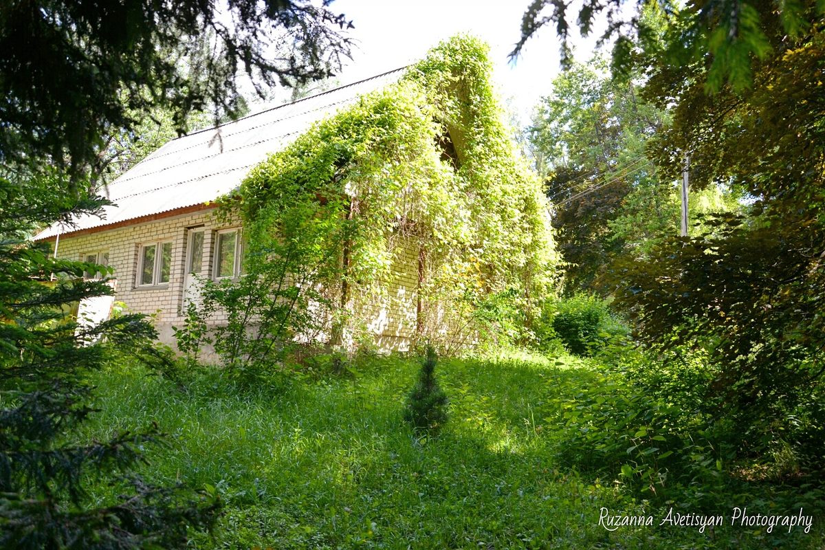 DENDROPARK HOUSE — Հյուրատներ, Լոռի