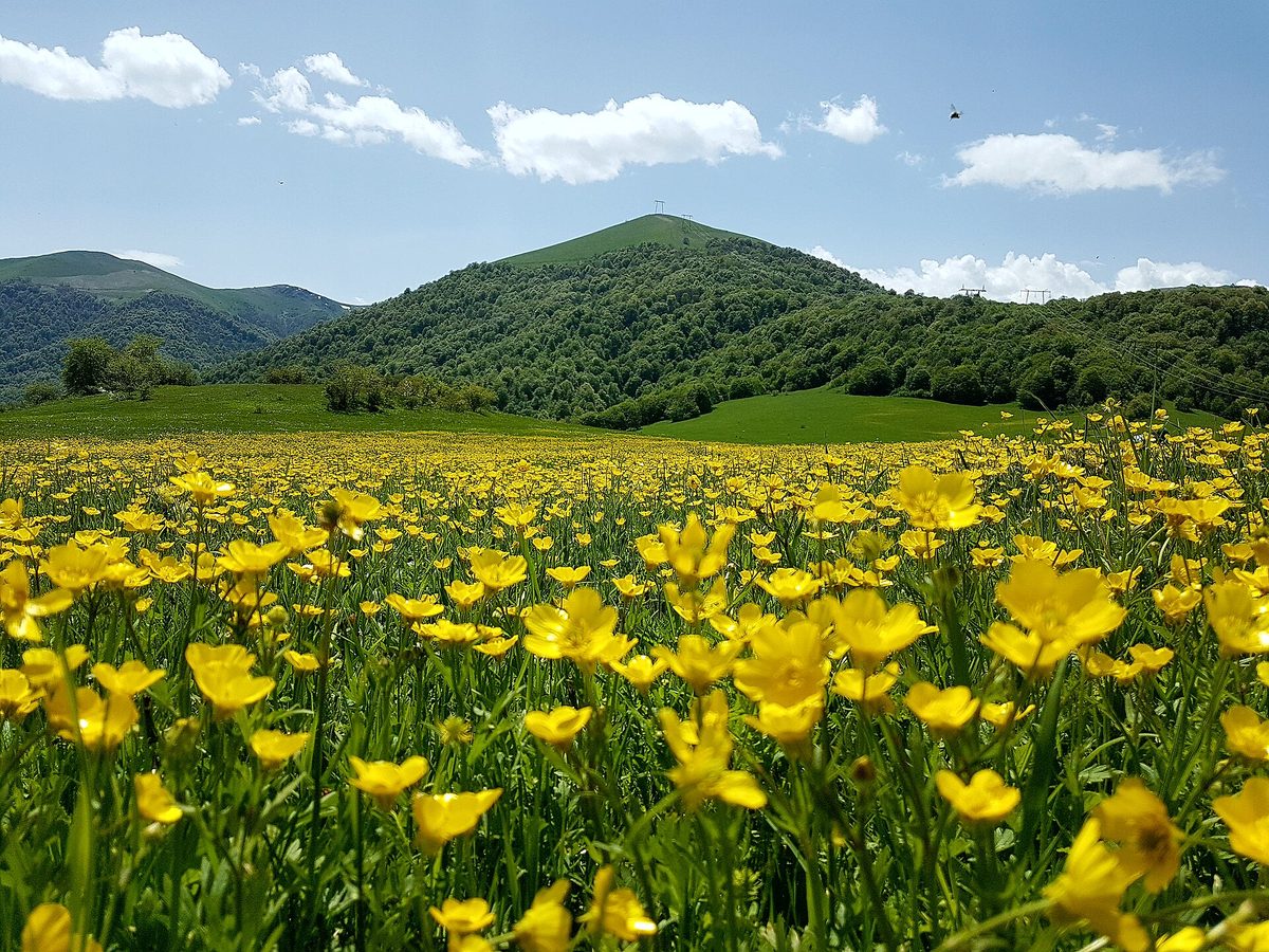 Դիլիջան ազգային պարկ