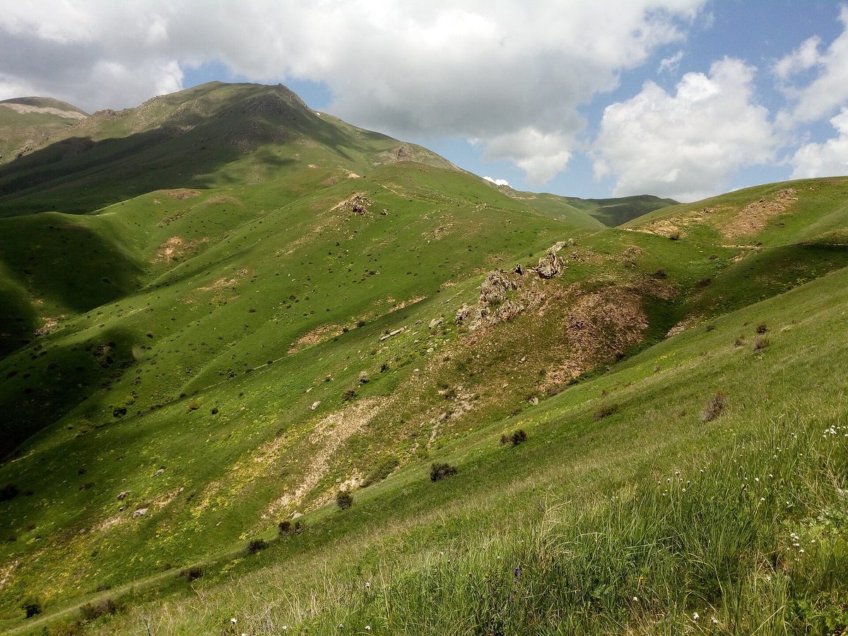 Դիտավանք