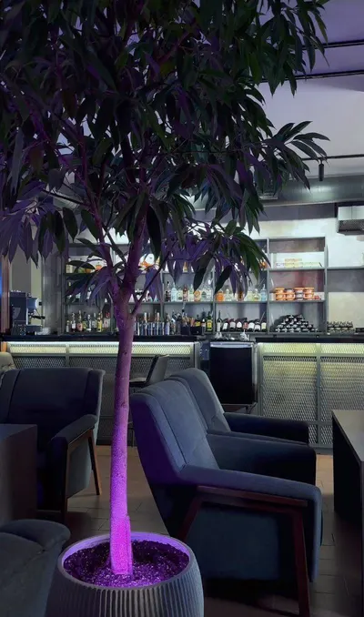 DOS" LOUNGE BAR — Բարեր, Երևան