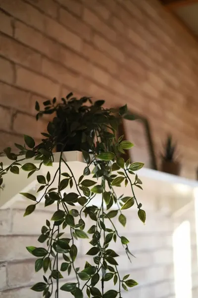 Gardeneria - Rent House — Սպորտ, Աբովյան