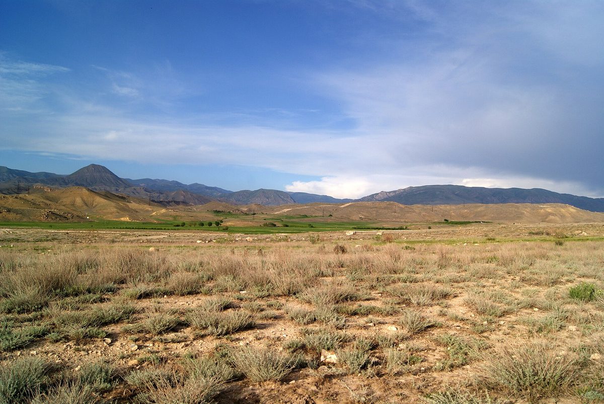 Գոռավանի ավազուտներ արգելավայր