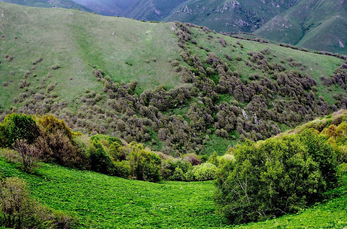 Հանքավանի ջրաբանական արգելավայր