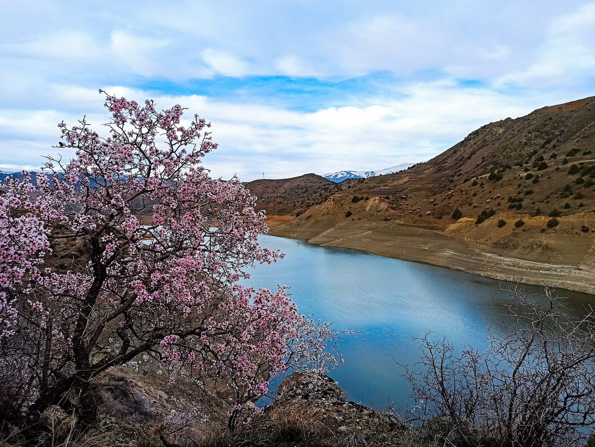 Հերհերի ջրամբար