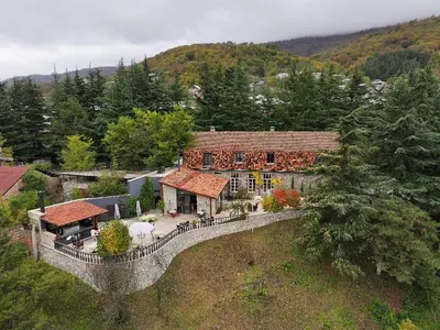 Imtoon Gastroliving — Ռեստորաններ, Դիլիջան