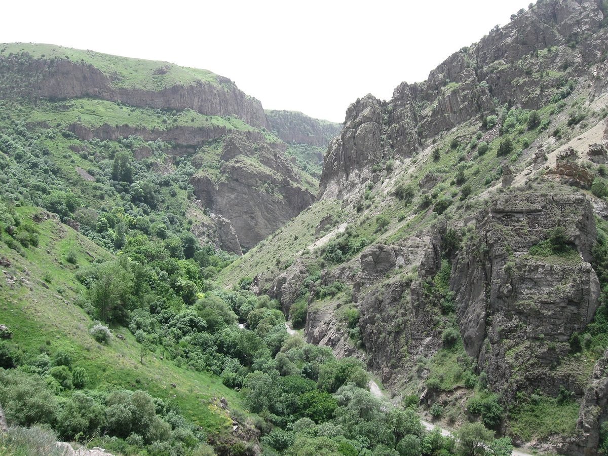 Ջերմուկի անտառային արգելավայր