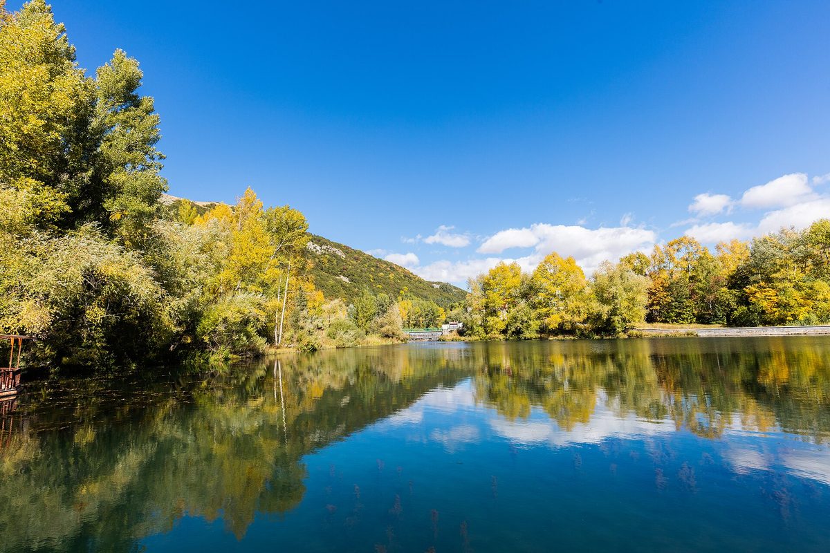Ջերմուկի ջրաբանական արգելավայր