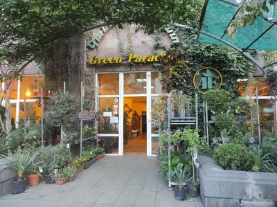 Կանաչ Դրախտ / Green Paradise — Այգիներ, Երևան