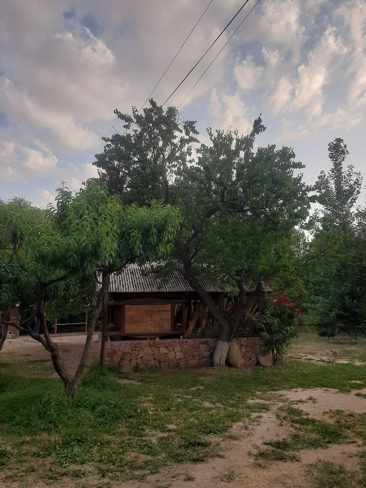 Կանաչ կղզի Green Island