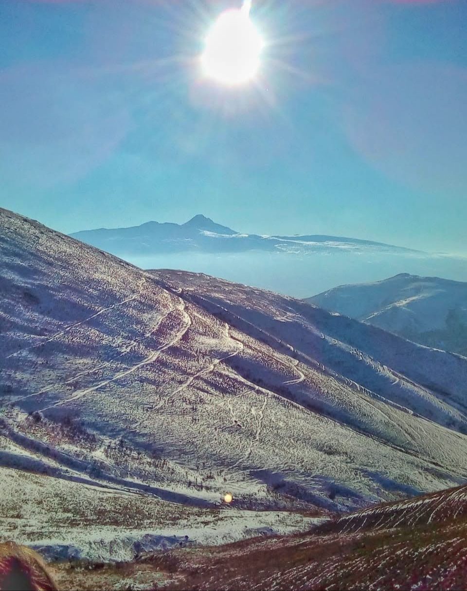 Կապանու