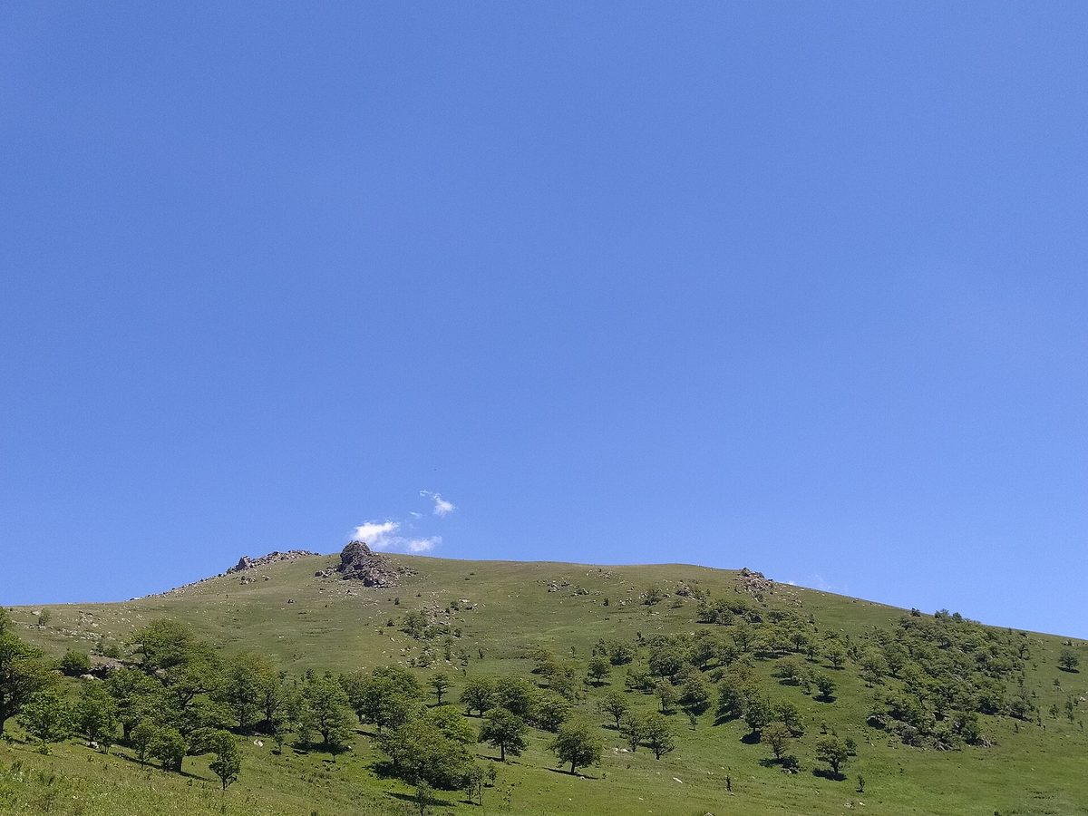 Կենացբլուր