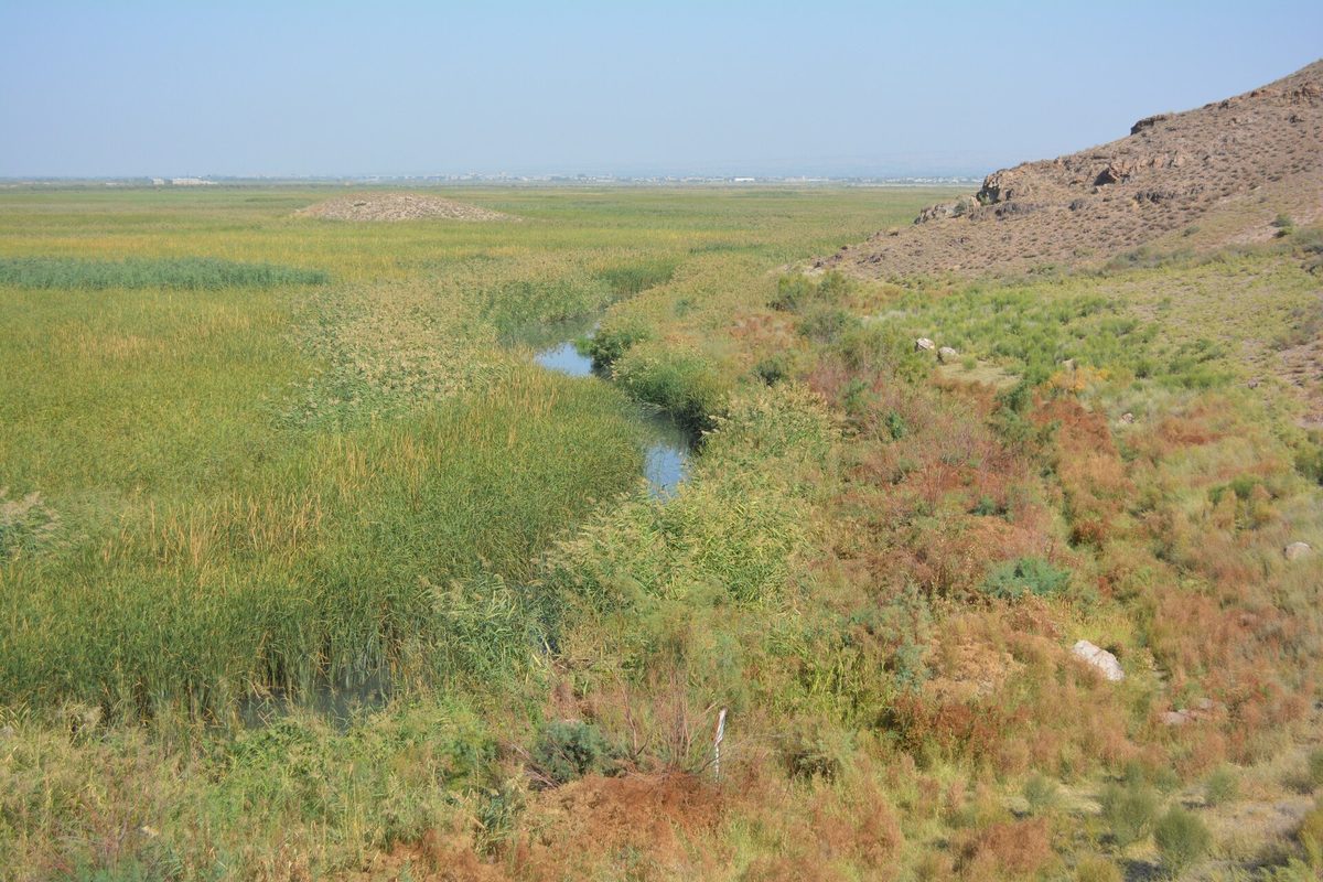 Խոր Վիրապ արգելավայր