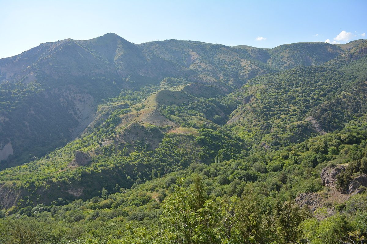 Խոսրովի անտառ պետական արգելոց