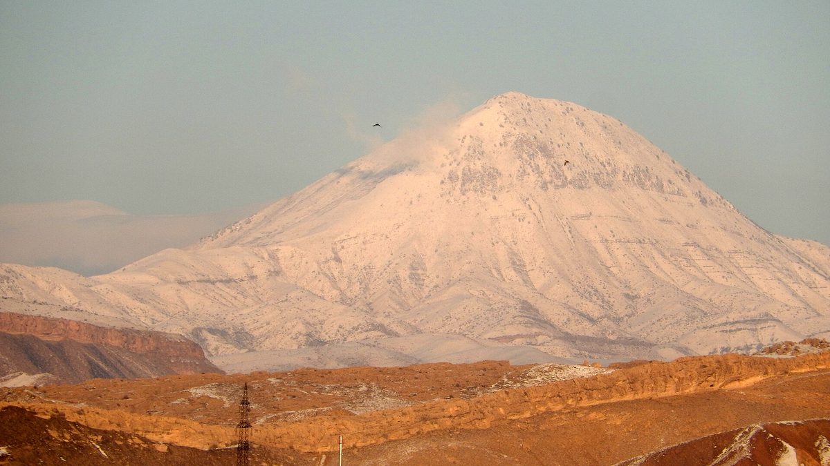 Կոտուց