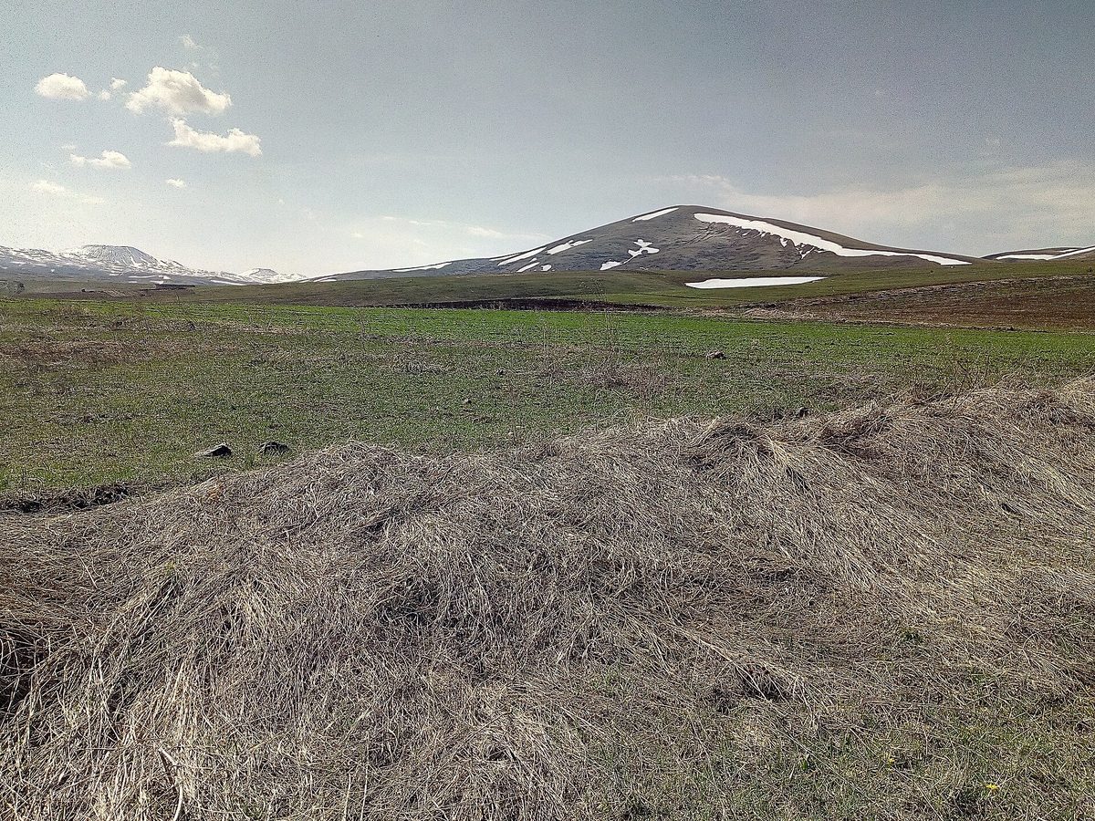 Մենակսար