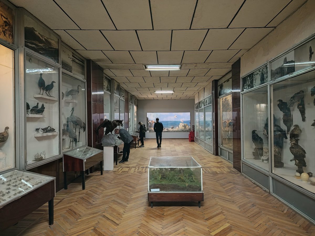 MUSEUM OF ZOOLOGY (SCIENTIFIC CENTER OF ZOOLOGY AND HYDROECOLOGY) — Museums & Galleries, Yerevan