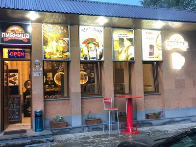Պիվնիցա