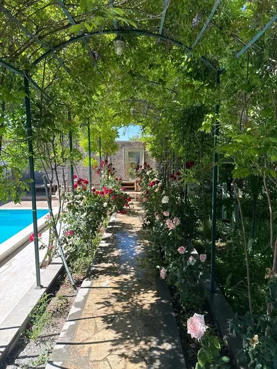 Պտղնի դաչա