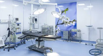 RHINO" PLASTIC SURGERY CENTER ("LYUDVIGOVICH" Limited Liability Company/LLC) — Здоровье, Ереван