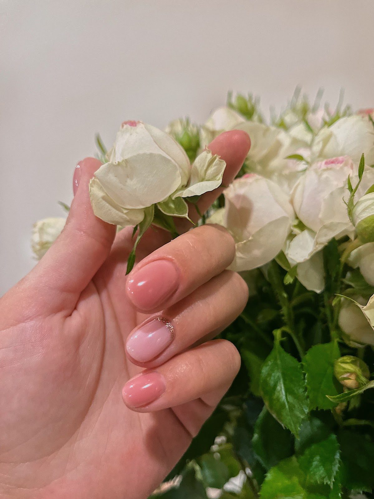 Rose Nail Bar — Красота, Ереван