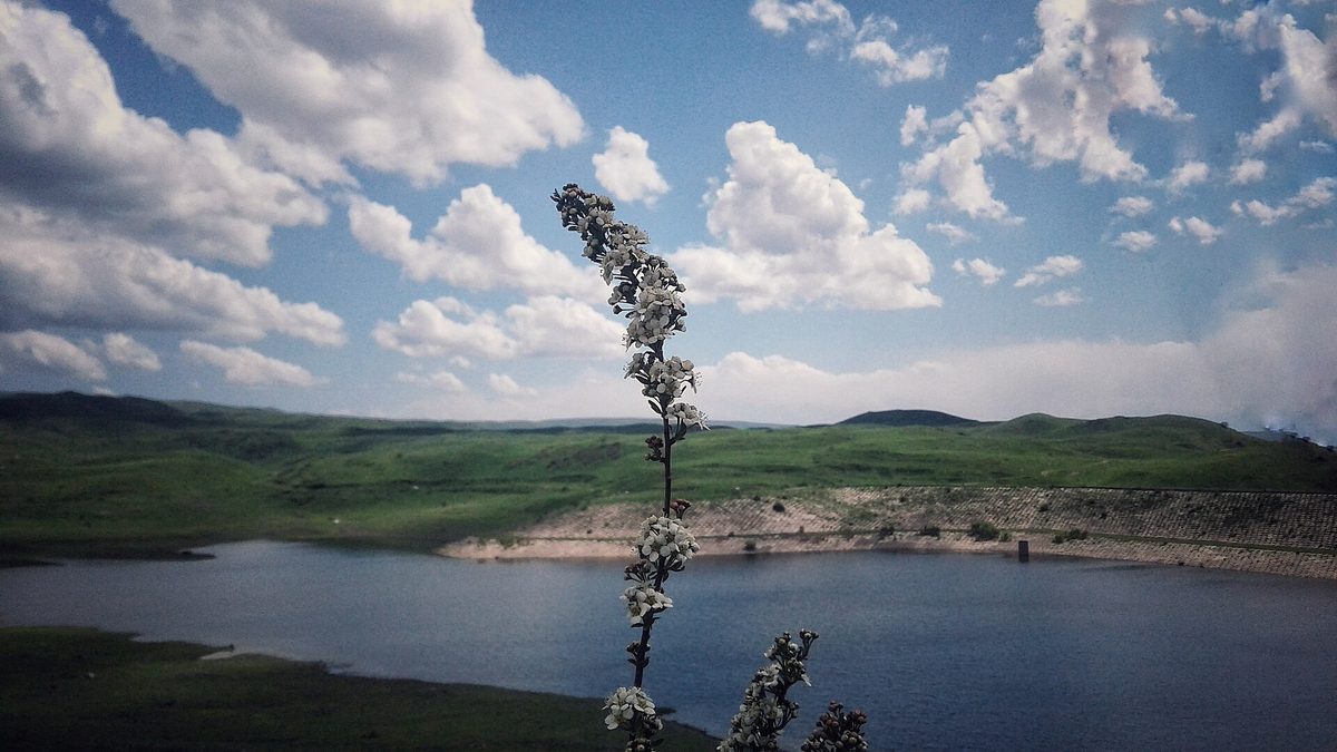Սևաբերդի ջրամբար