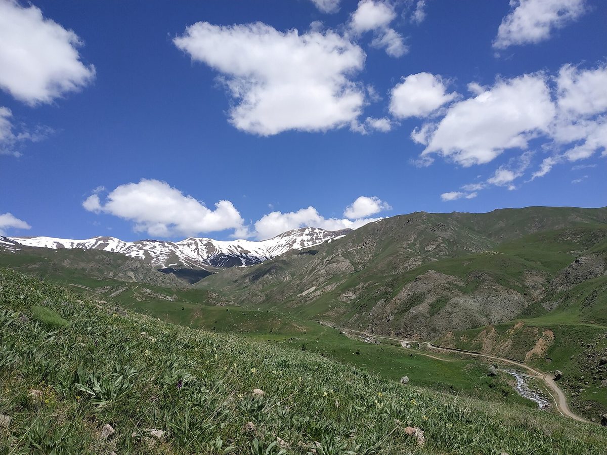 Սոխասար