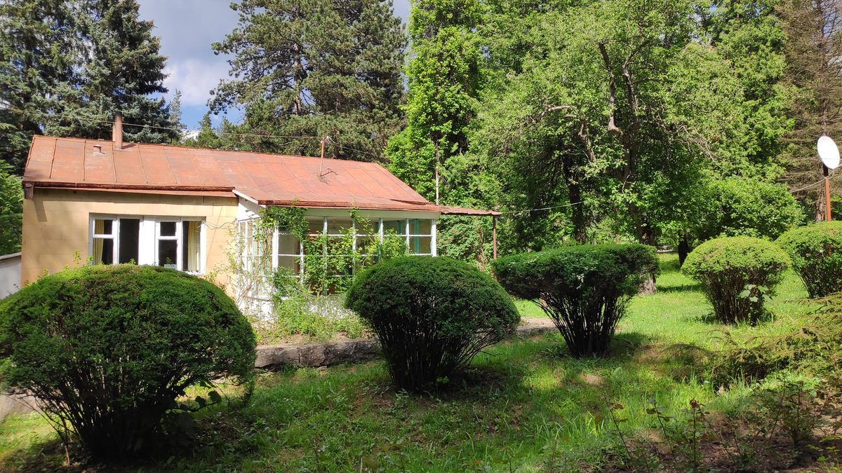 Ստեփանավանի դենդրոպարկ