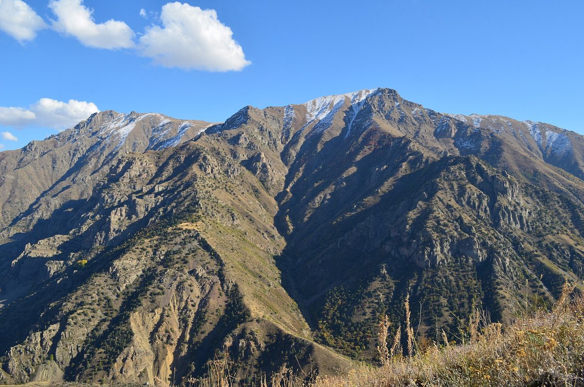 Թեքսար