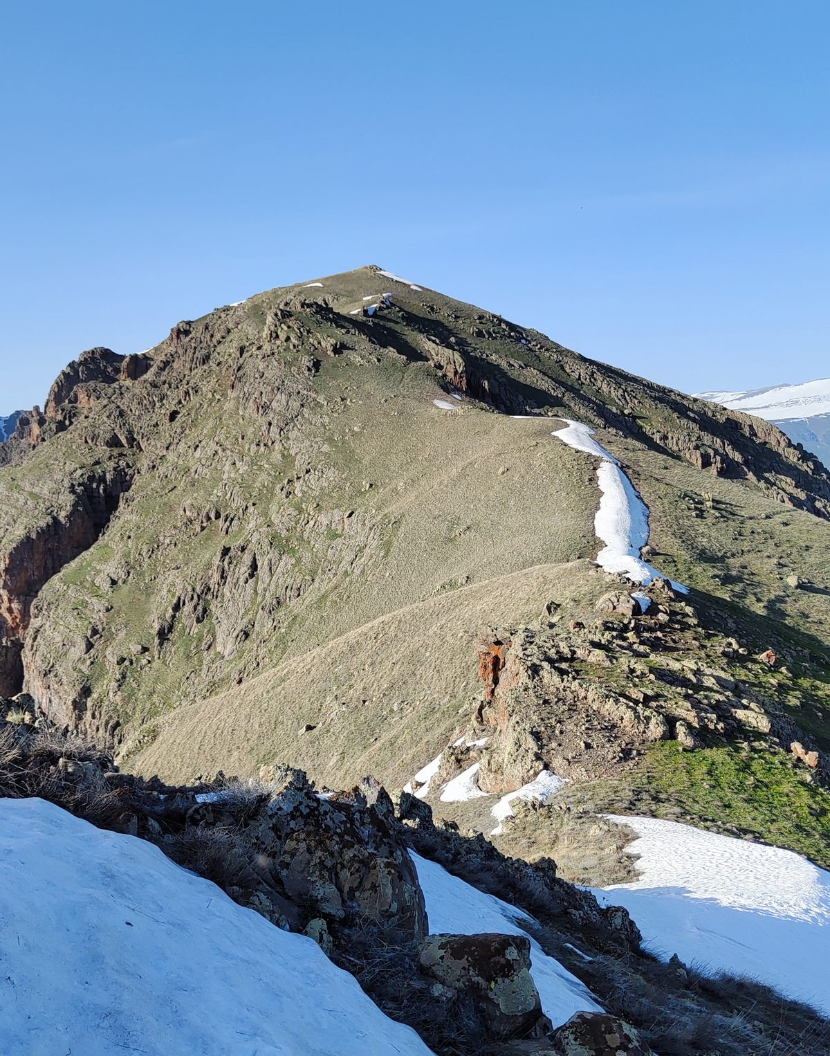 Ցոլասար
