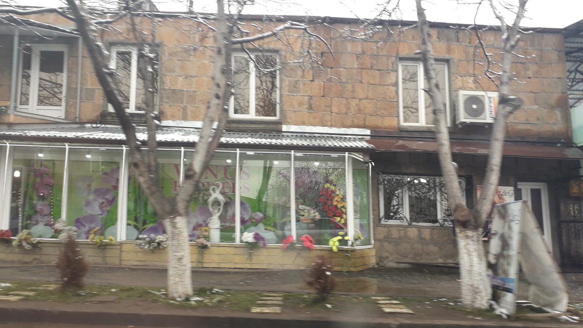 «Վեներա» ծաղկի խանութ