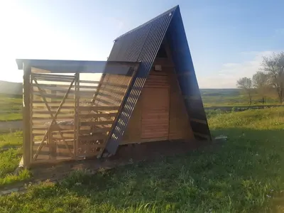 Վայրի հանգիստ