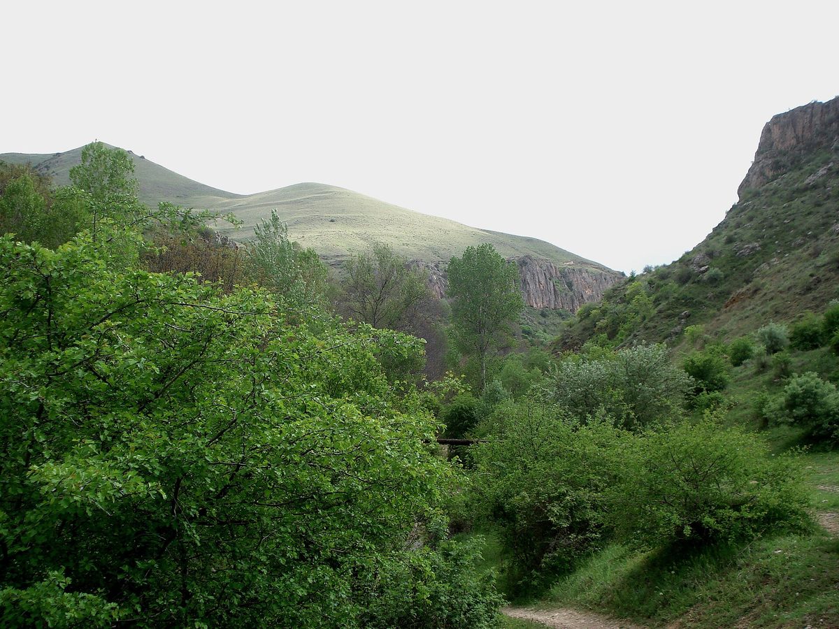 Եղեգնաձորի արգելավայր