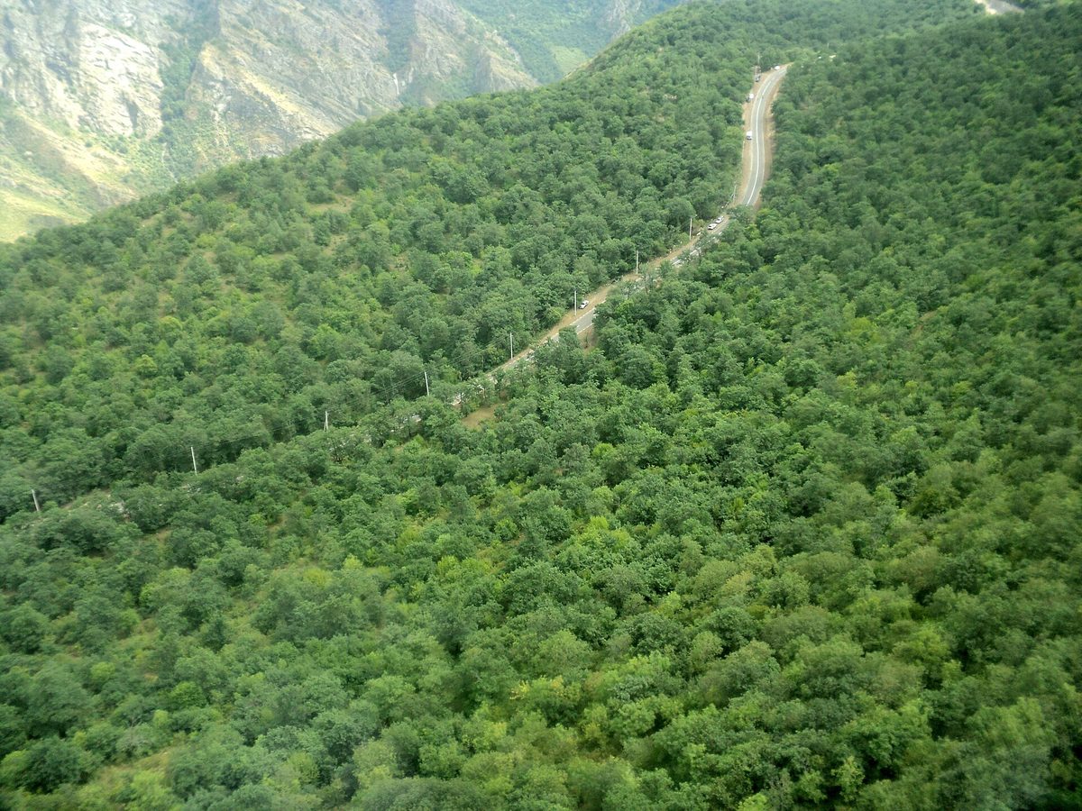 Զանգեզուր արգելավայր